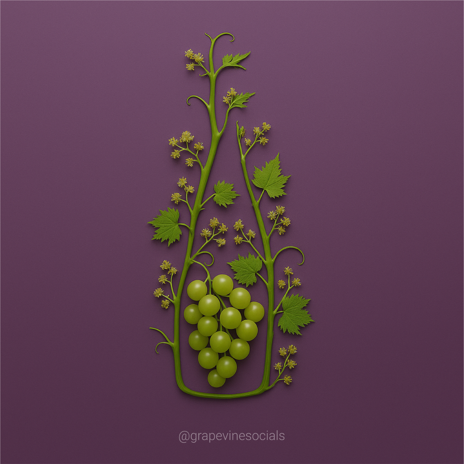 spring vines